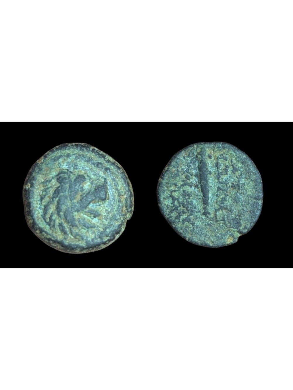 ANTOCHOS VII Seleucid Ancient Greek Coin Nemean Lion Hercules Labor